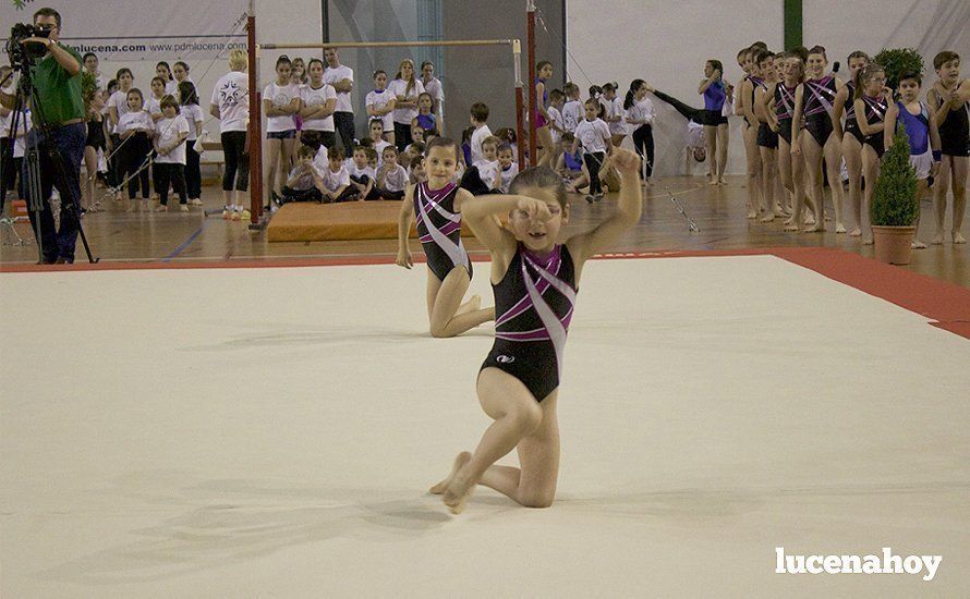 Galería: Los 200 componentes del Club Lucentino de Gimnasia inician el fin de semana de la gimnasia deportiva