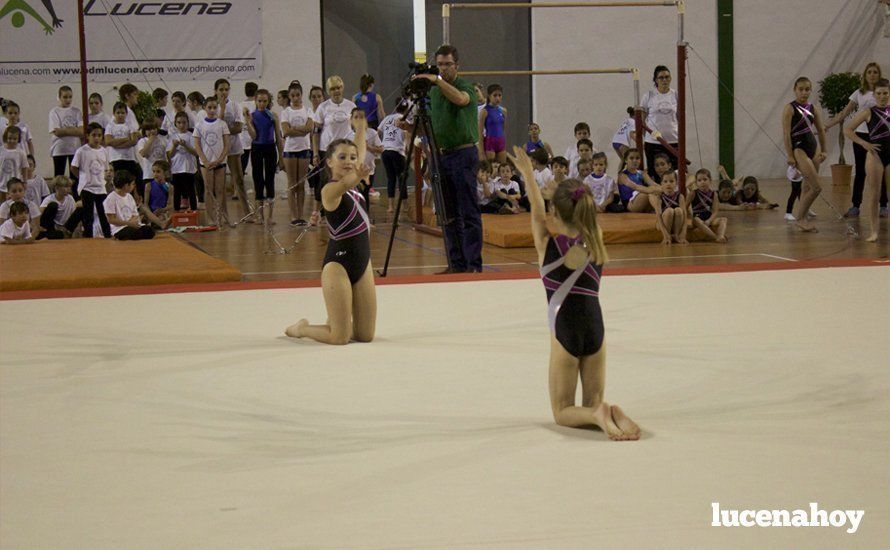 Galería: Los 200 componentes del Club Lucentino de Gimnasia inician el fin de semana de la gimnasia deportiva