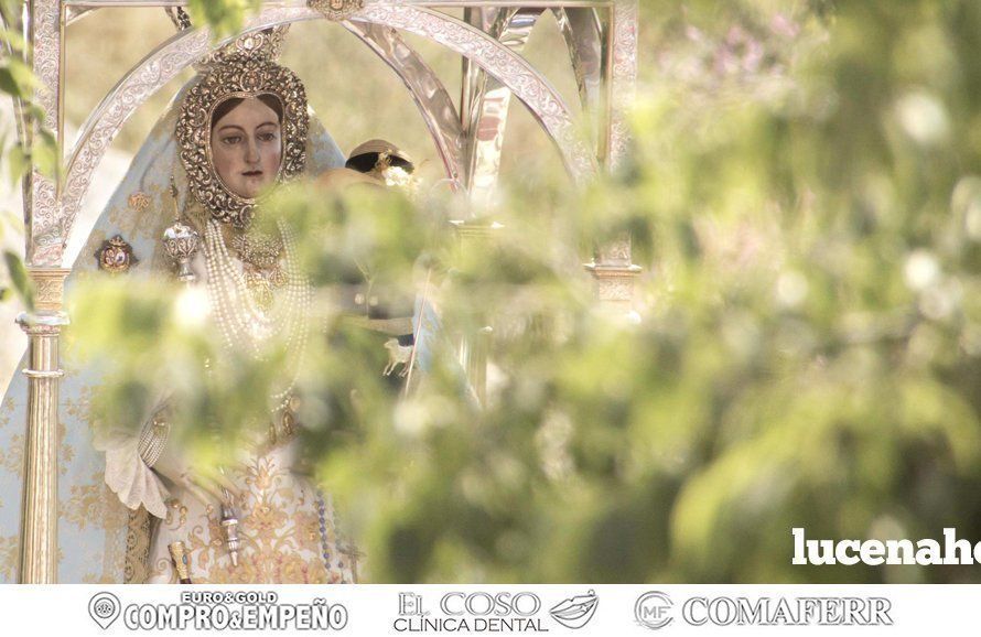 Galería: Multitudinaria despedida a la Virgen de Araceli en su Romería de Subida Galería: Multitudinaria despedida a la Virgen de Araceli en su Romería de Subida