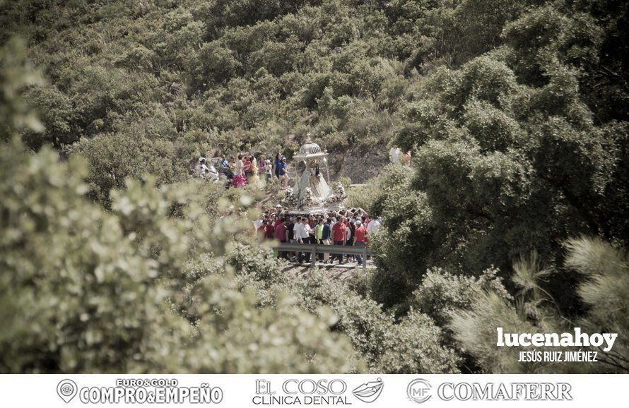 Galería: Multitudinaria despedida a la Virgen de Araceli en su Romería de Subida