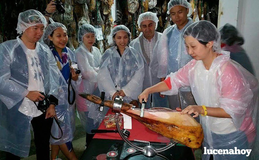  Una de las actividades en las que han participan los periodistas chinos que visitan Córdoba 