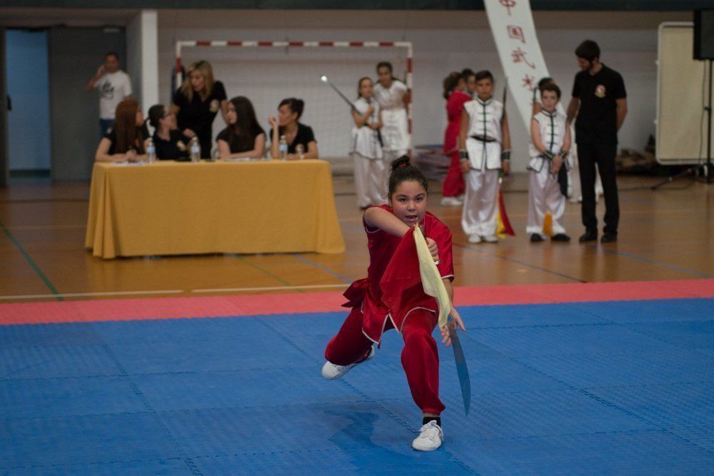 Galería: Lucena acoge el espectáculo del Campeonato Andaluz de Artes Marciales Chinas