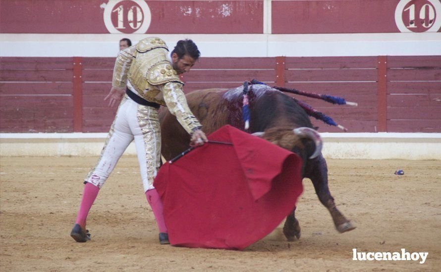 Galería: Tres puertas grandes y un indulto en la corrida del décimo aniversario del Coso de los Donceles con lleno en el tendido Galería: Tres puertas grandes y un indulto en la corrida del décimo aniversario del Coso de los Donceles con lleno en el tendido