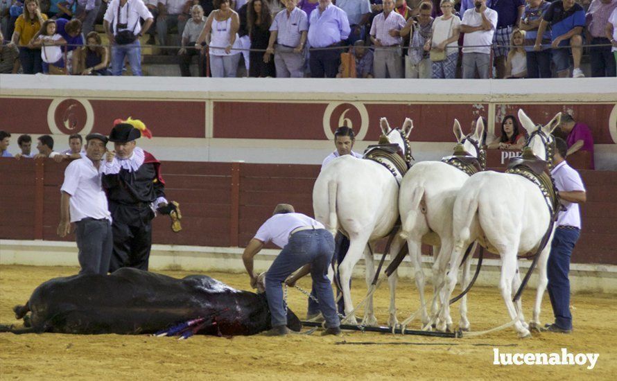 Galería: Tres puertas grandes y un indulto en la corrida del décimo aniversario del Coso de los Donceles con lleno en el tendido