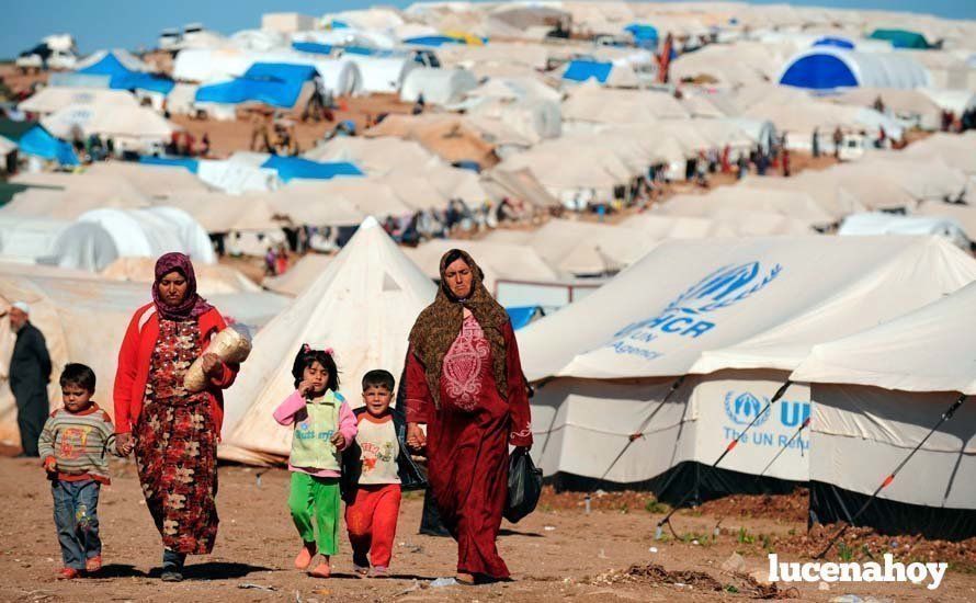  Campo de refugiados: Foto: malinche.mx 