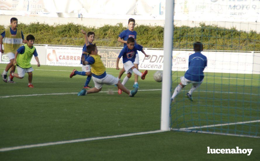 Galería: La Alta Escuela de Tecnificación y Formación de Fútbol de Lucena termina su segundo verano con 132 inscritos