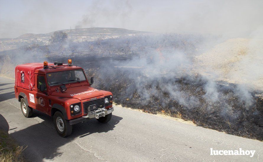 Galería: Un incendio quema unas tres hectáreas de viñedo y pastos en la zona de Los Poleares