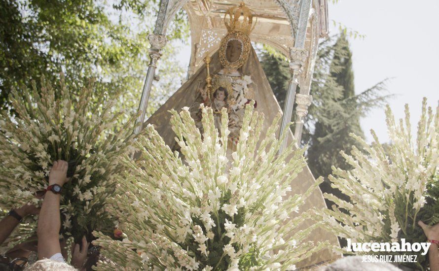 Galería: Cabra: Miles de personas acompañan a la Virgen de la Sierra en la 'Bajá' más calurosa de los últimos años