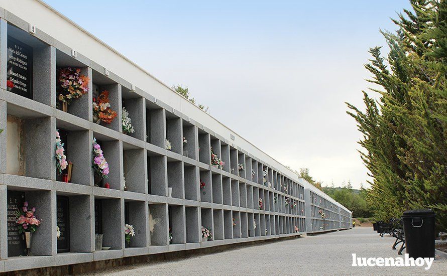 Una imagen del Cementerio Municipal de San Jorge