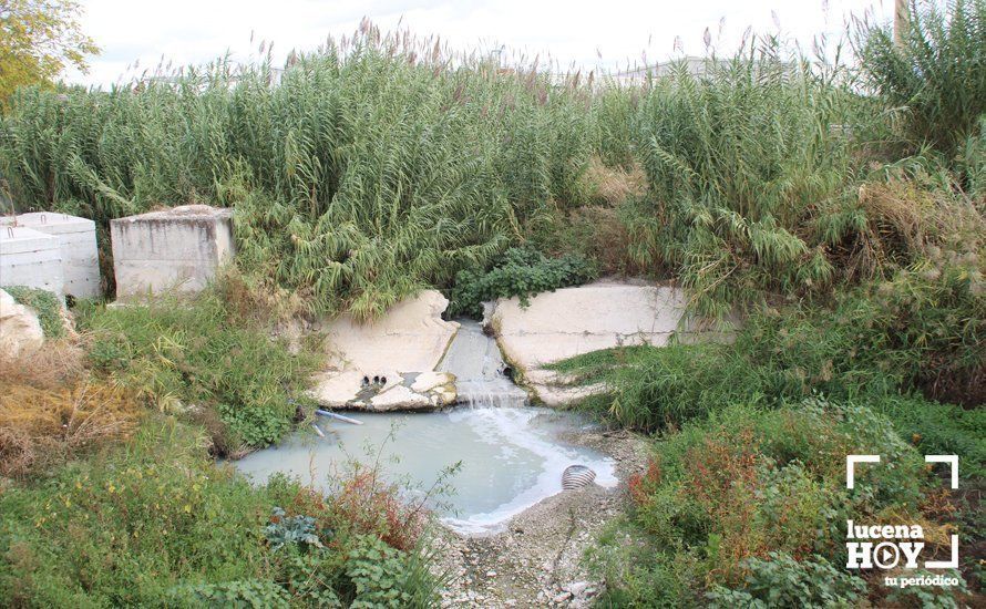 puente de cabra