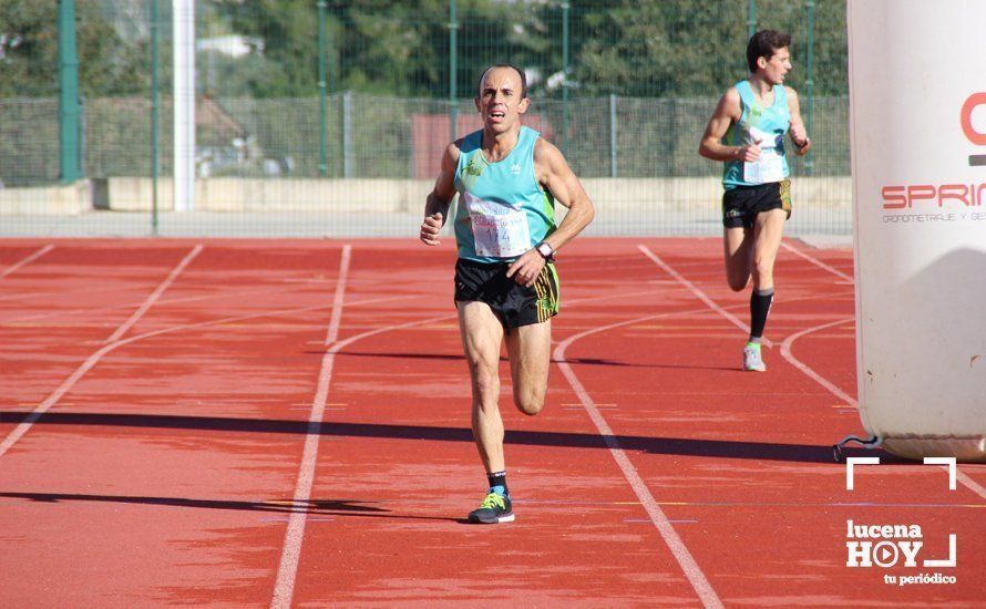 Galería: Carrera Popular Ciudad de Lucena (I): Las imágenes de la prueba absoluta