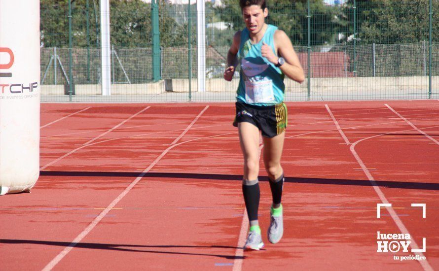 Galería: Carrera Popular Ciudad de Lucena (I): Las imágenes de la prueba absoluta