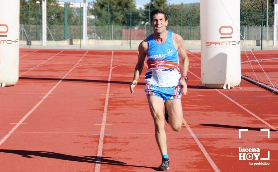 Galería: Carrera Popular Ciudad de Lucena (I): Las imágenes de la prueba absoluta