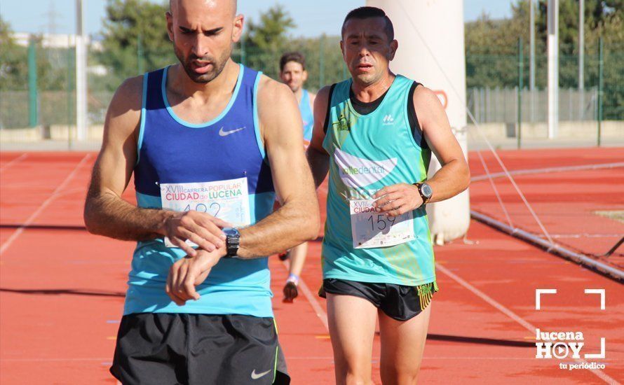Galería: Carrera Popular Ciudad de Lucena (I): Las imágenes de la prueba absoluta Galería: Carrera Popular Ciudad de Lucena (I): Las imágenes de la prueba absoluta