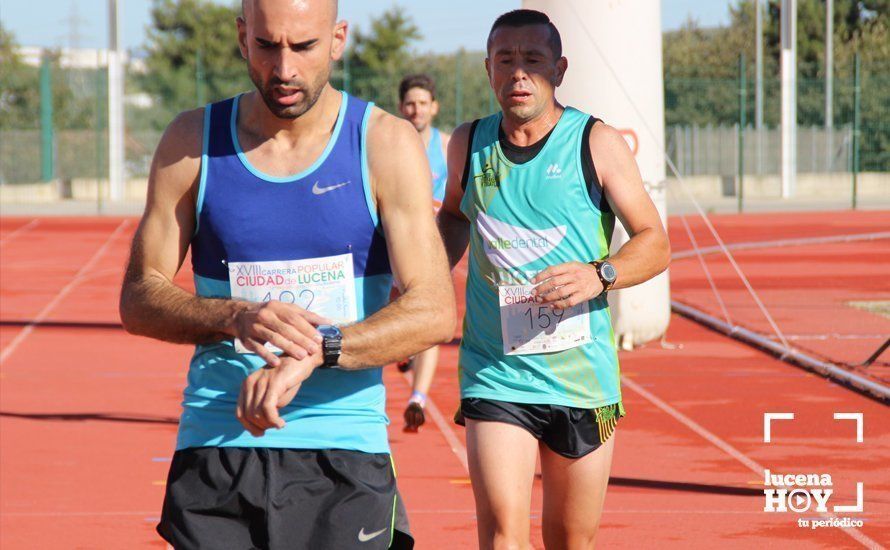 Galería: Carrera Popular Ciudad de Lucena (I): Las imágenes de la prueba absoluta