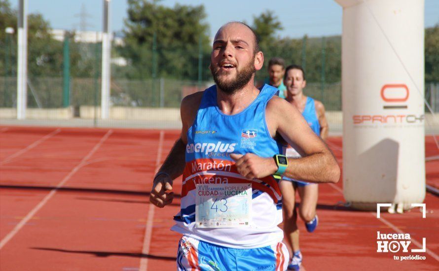 Galería: Carrera Popular Ciudad de Lucena (I): Las imágenes de la prueba absoluta