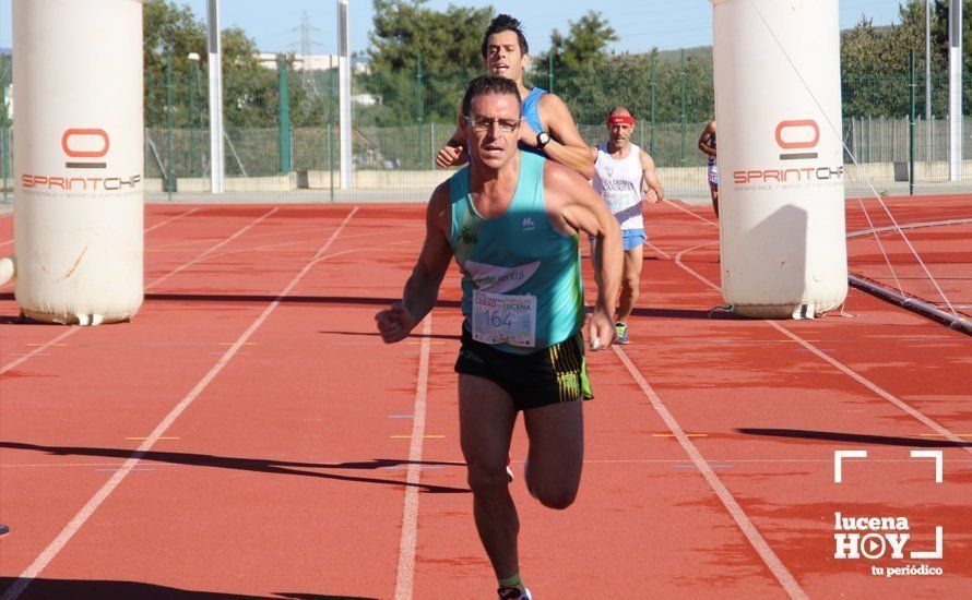 Galería: Carrera Popular Ciudad de Lucena (I): Las imágenes de la prueba absoluta