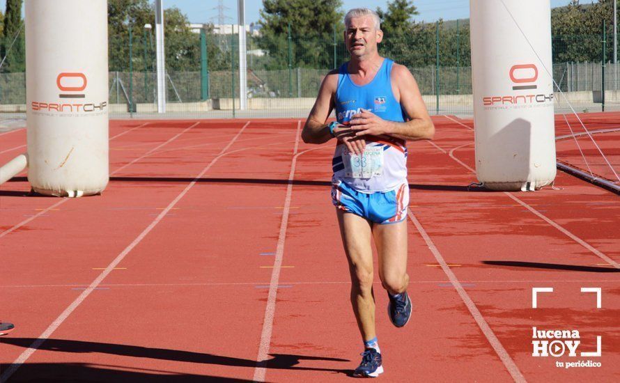 Galería: Carrera Popular Ciudad de Lucena (I): Las imágenes de la prueba absoluta