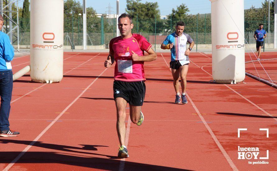 Galería: Carrera Popular Ciudad de Lucena (I): Las imágenes de la prueba absoluta