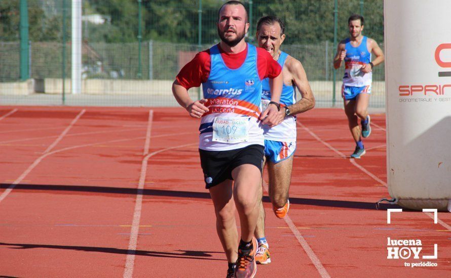 Galería: Carrera Popular Ciudad de Lucena (I): Las imágenes de la prueba absoluta