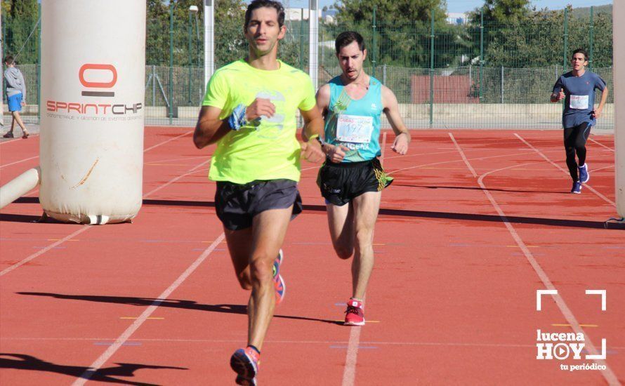 Galería: Carrera Popular Ciudad de Lucena (I): Las imágenes de la prueba absoluta