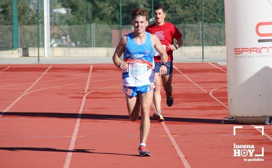 Galería: Carrera Popular Ciudad de Lucena (I): Las imágenes de la prueba absoluta