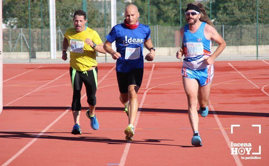 Galería: Carrera Popular Ciudad de Lucena (I): Las imágenes de la prueba absoluta Galería: Carrera Popular Ciudad de Lucena (I): Las imágenes de la prueba absoluta