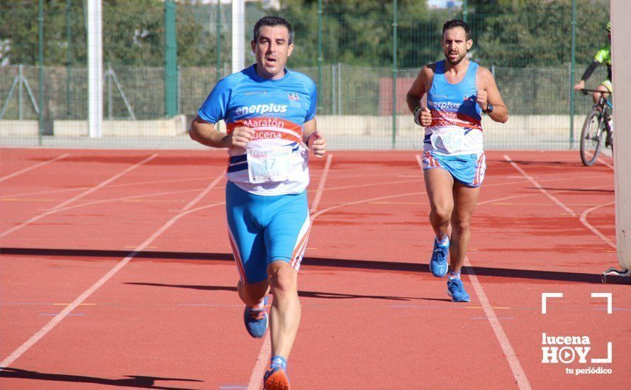 Galería: Carrera Popular Ciudad de Lucena (I): Las imágenes de la prueba absoluta