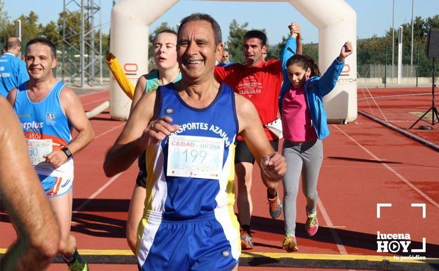 Galería: Carrera Popular Ciudad de Lucena (I): Las imágenes de la prueba absoluta