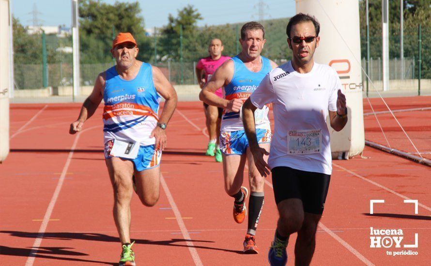 Galería: Carrera Popular Ciudad de Lucena (I): Las imágenes de la prueba absoluta