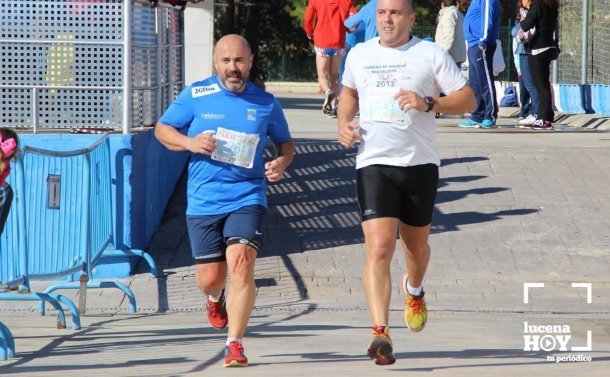 Galería: Carrera Popular Ciudad de Lucena (I): Las imágenes de la prueba absoluta