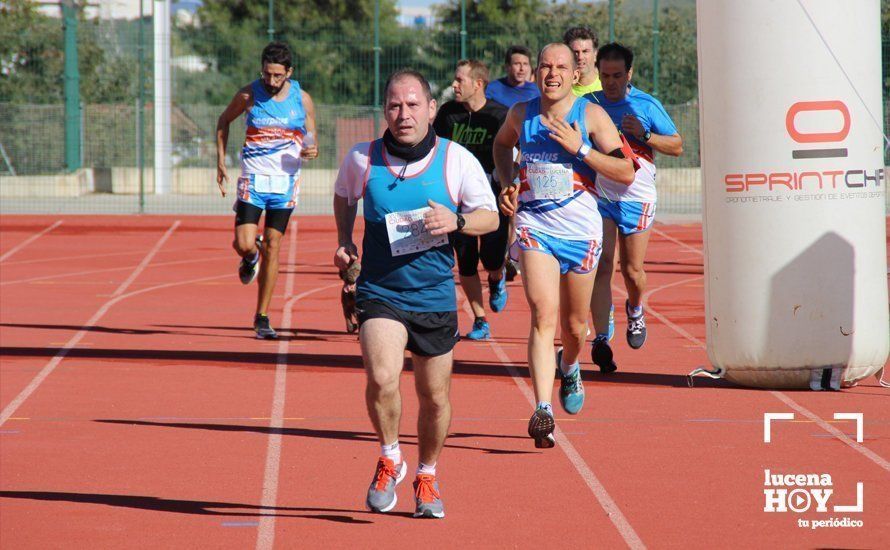 Galería: Carrera Popular Ciudad de Lucena (I): Las imágenes de la prueba absoluta Galería: Carrera Popular Ciudad de Lucena (I): Las imágenes de la prueba absoluta