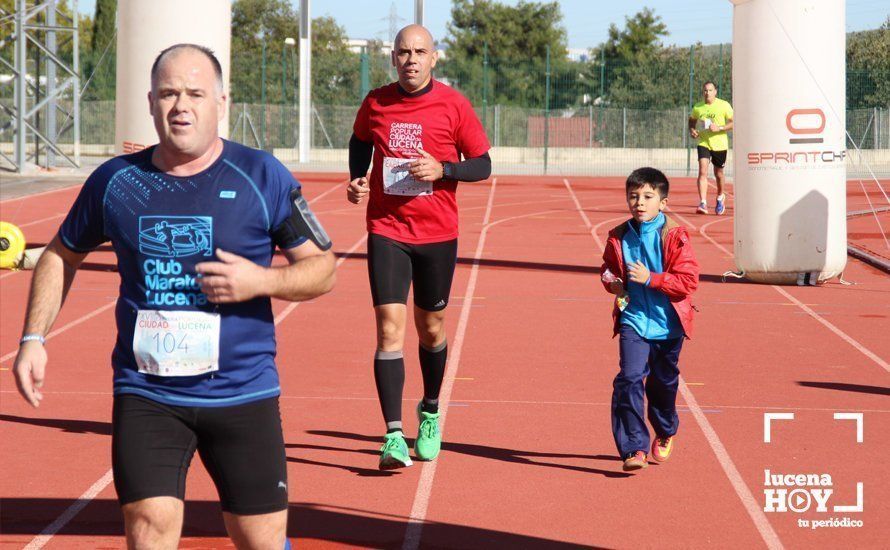 Galería: Carrera Popular Ciudad de Lucena (I): Las imágenes de la prueba absoluta Galería: Carrera Popular Ciudad de Lucena (I): Las imágenes de la prueba absoluta