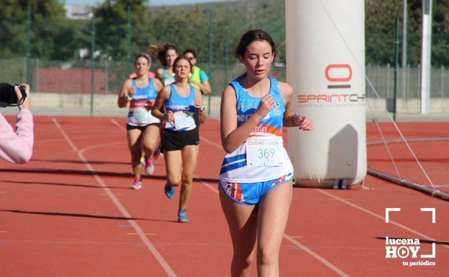 Galería: Carrera Popular Ciudad de Lucena (I): Las imágenes de la prueba absoluta