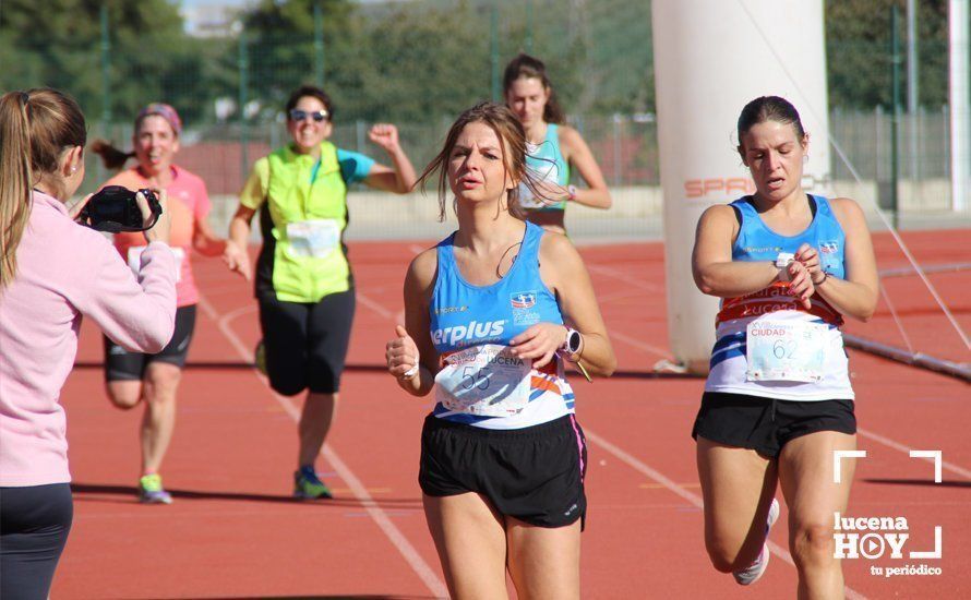 Galería: Carrera Popular Ciudad de Lucena (I): Las imágenes de la prueba absoluta Galería: Carrera Popular Ciudad de Lucena (I): Las imágenes de la prueba absoluta