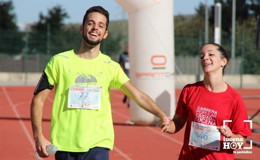 Galería: Carrera Popular Ciudad de Lucena (I): Las imágenes de la prueba absoluta