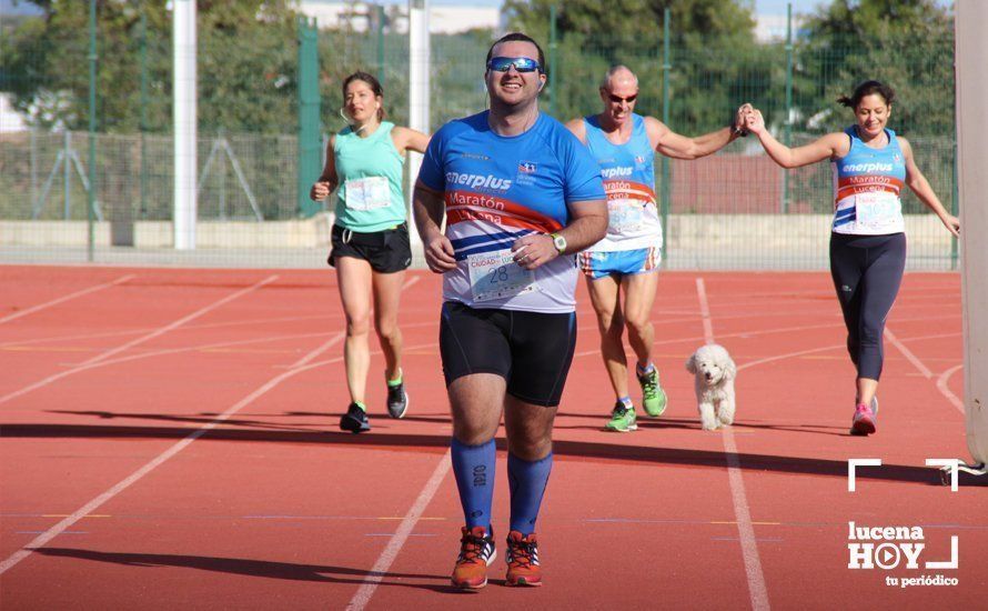 Galería: Carrera Popular Ciudad de Lucena (I): Las imágenes de la prueba absoluta