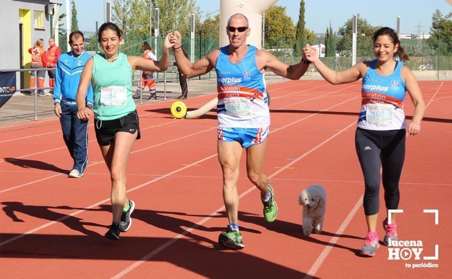 Galería: Carrera Popular Ciudad de Lucena (I): Las imágenes de la prueba absoluta