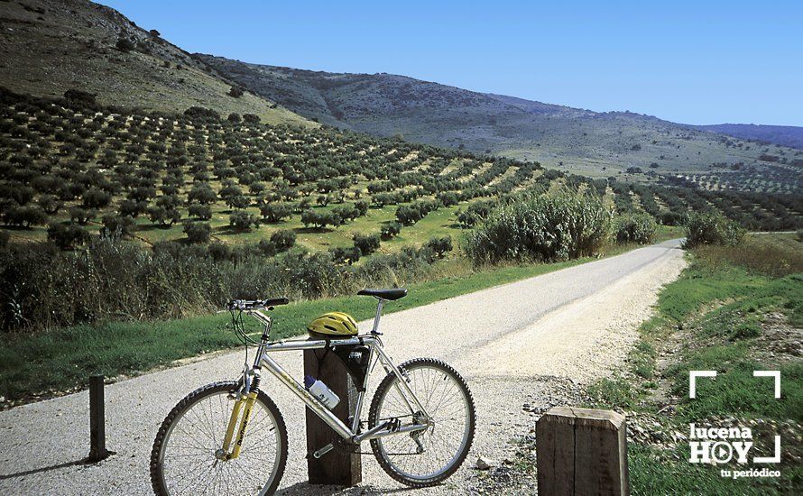  Vía Verde del Aceite, a su paso por Lucena. 