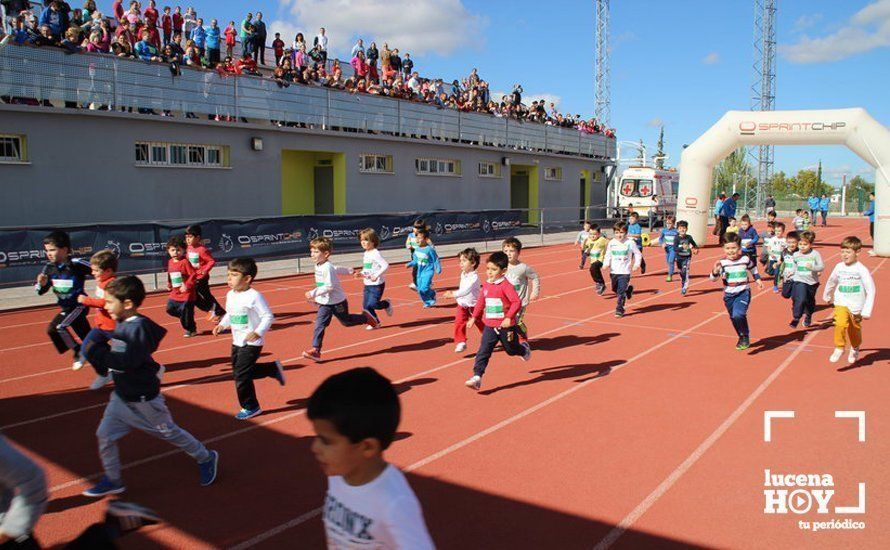  La grada principal del campo de fútbol será cubierta mediante esta obra 