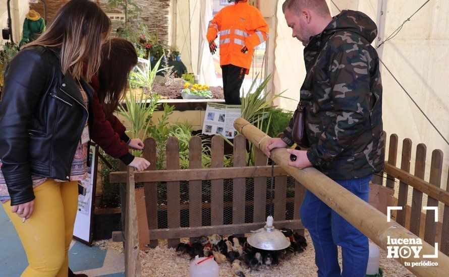 Galería: Formación para todos los gustos: Las fotos de esta primera jornada del Salón del Estudiante de Lucena