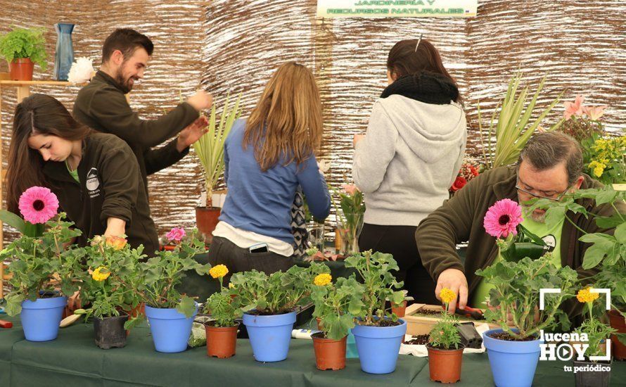 Galería: Formación para todos los gustos: Las fotos de esta primera jornada del Salón del Estudiante de Lucena Galería: Formación para todos los gustos: Las fotos de esta primera jornada del Salón del Estudiante de Lucena