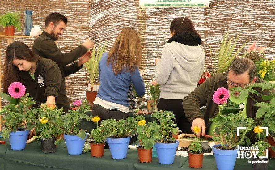 Galería: Formación para todos los gustos: Las fotos de esta primera jornada del Salón del Estudiante de Lucena