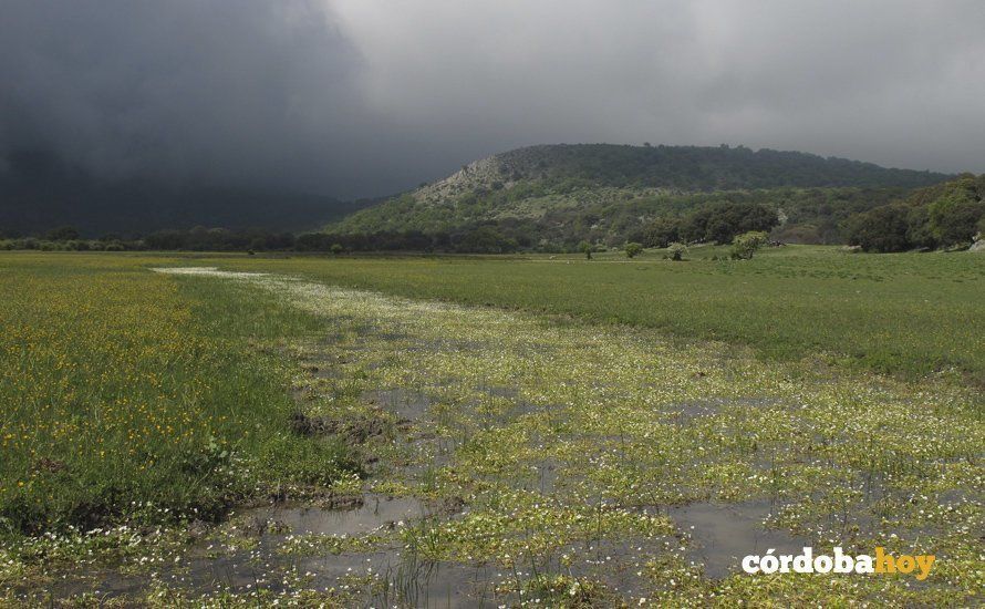 La Subbética acoge una olimpiada española de geología