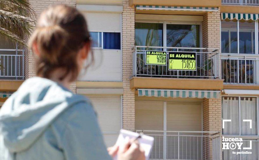 Una joven mira un cartel de alquiler inmobiliario. Archivo