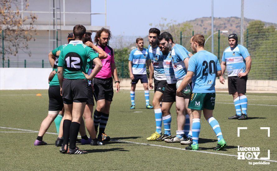 GALERÍA Y CRÓNICA: Más de cien jugadores de rugby de Córdoba, Sevilla, Granada y Ciudad Real se dan cita en Lucena