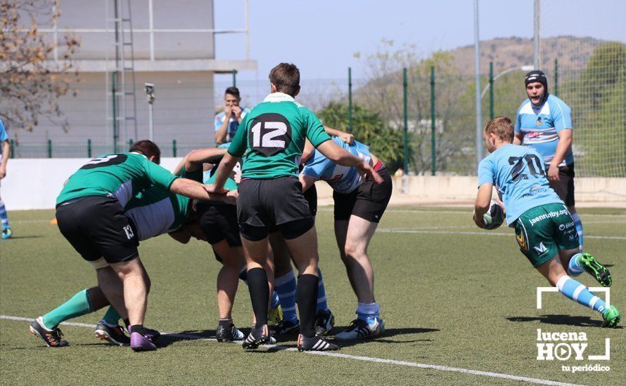 GALERÍA Y CRÓNICA: Más de cien jugadores de rugby de Córdoba, Sevilla, Granada y Ciudad Real se dan cita en Lucena