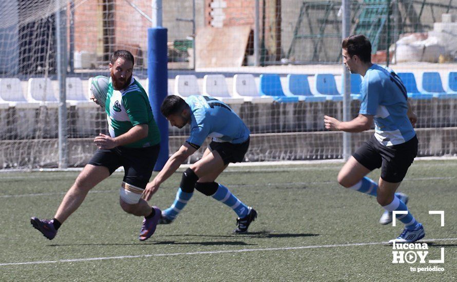 GALERÍA Y CRÓNICA: Más de cien jugadores de rugby de Córdoba, Sevilla, Granada y Ciudad Real se dan cita en Lucena GALERÍA Y CRÓNICA: Más de cien jugadores de rugby de Córdoba, Sevilla, Granada y Ciudad Real se dan cita en Lucena