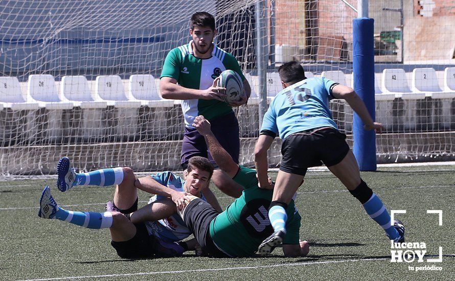 GALERÍA Y CRÓNICA: Más de cien jugadores de rugby de Córdoba, Sevilla, Granada y Ciudad Real se dan cita en Lucena