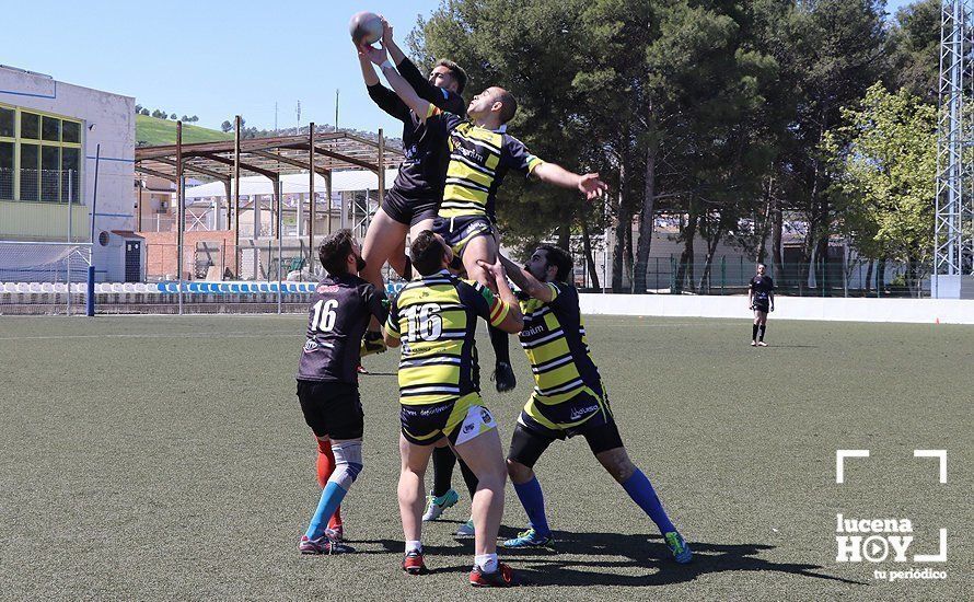 GALERÍA Y CRÓNICA: Más de cien jugadores de rugby de Córdoba, Sevilla, Granada y Ciudad Real se dan cita en Lucena